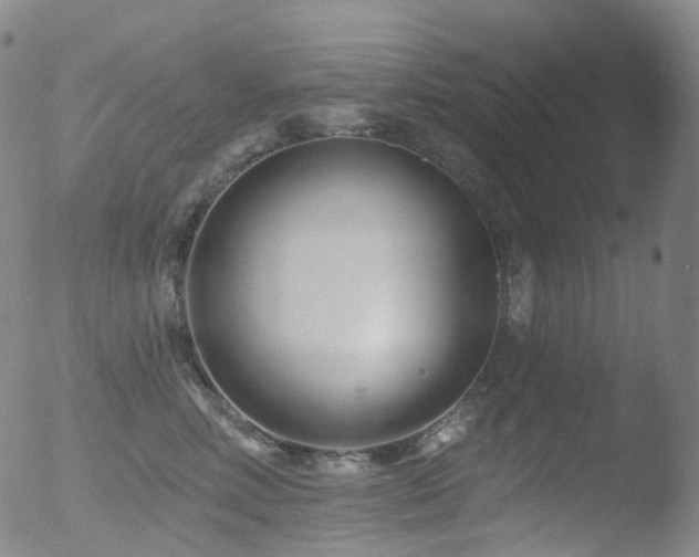 X0000052940618200507081146