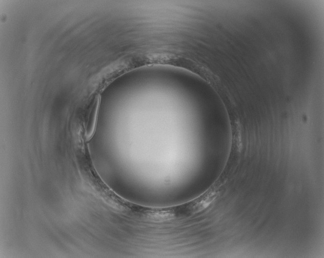 X0000052940619200507081146