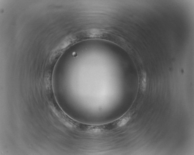 X0000052940620200507081146