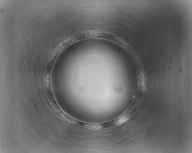 X0000052940621200507081146