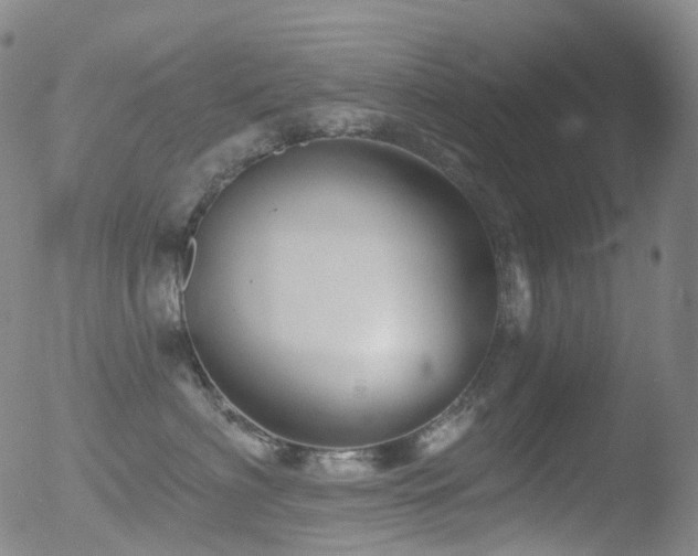 X0000052940622200507081146