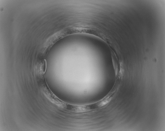 X0000052940623200507081146