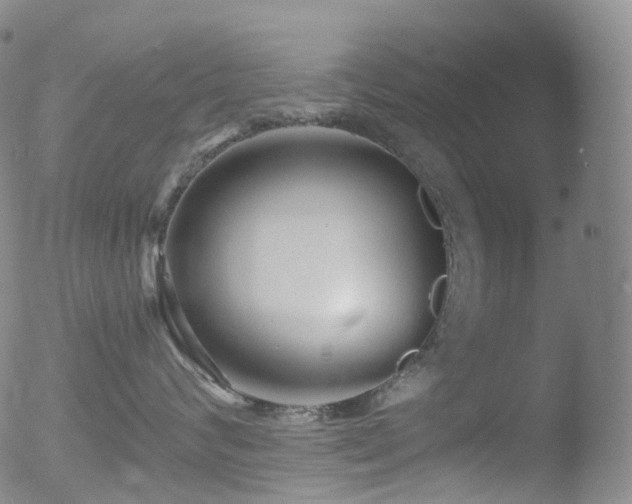 X0000052940624200507081146