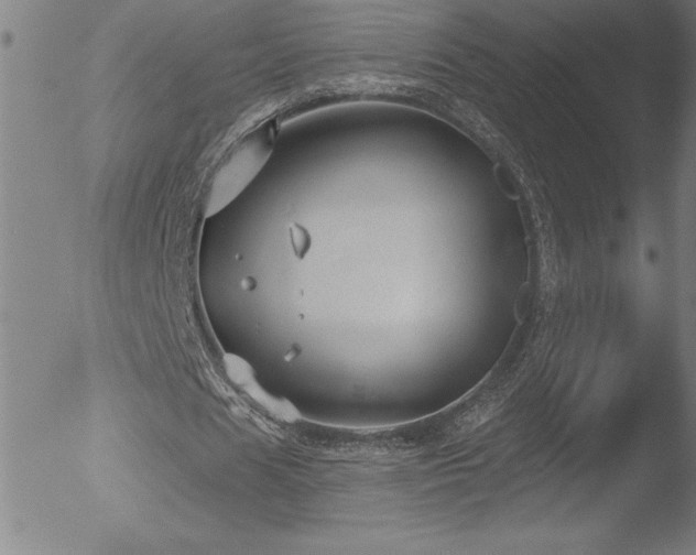 X0000052940625200507081145