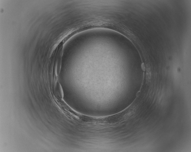 X0000052940626200507081145