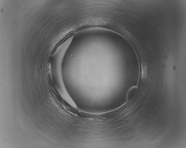 X0000052940627200507081145