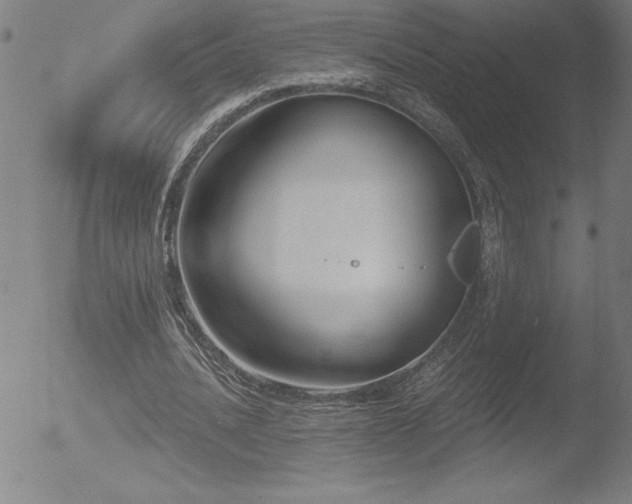 X0000052940628200507081145