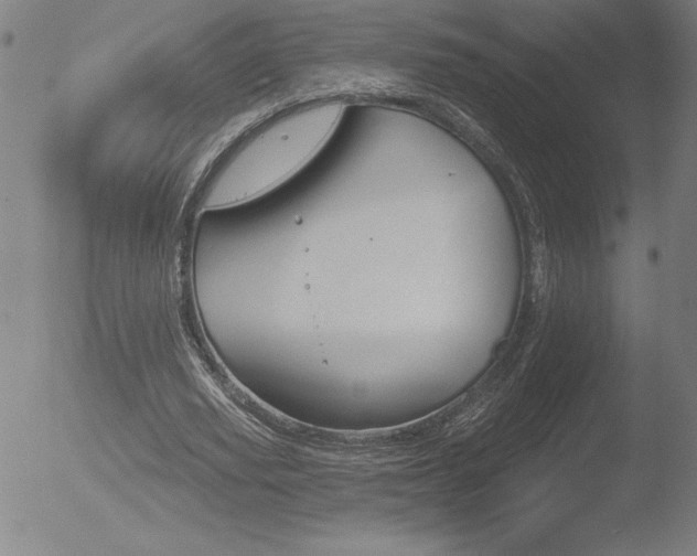 X0000052940629200507081145