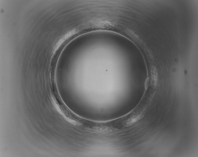 X0000052940630200507081145