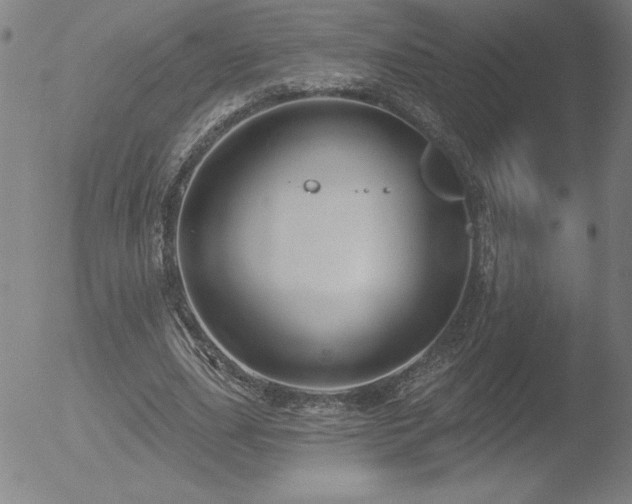 X0000052940631200507081145