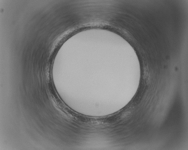 X0000052940632200507081145