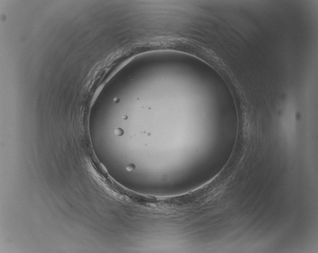 X0000052940633200507081145