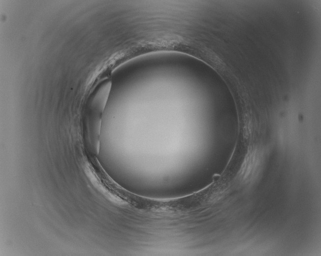 X0000052940634200507081145