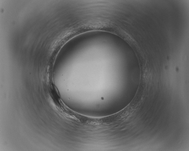 X0000052940635200507081145