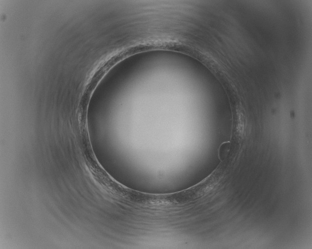 X0000052940636200507081145