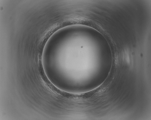 X0000052940637200507081145