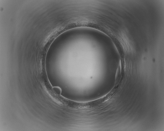 X0000052940638200507081145