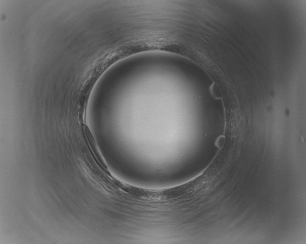 X0000052940639200507081145