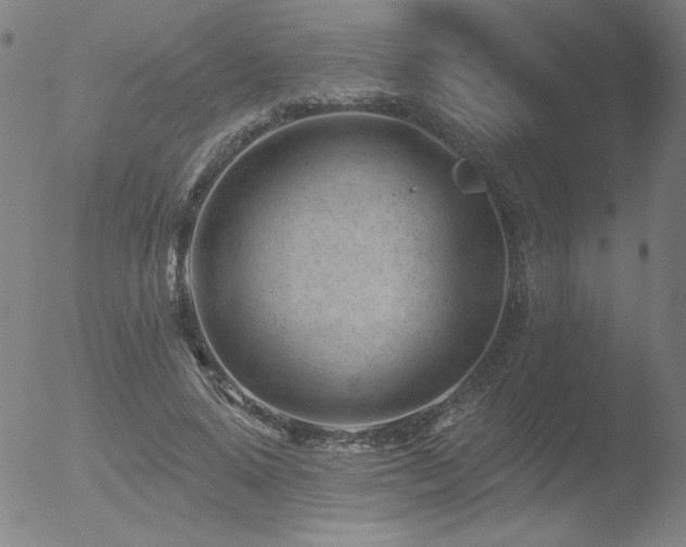 X0000052940640200507081145