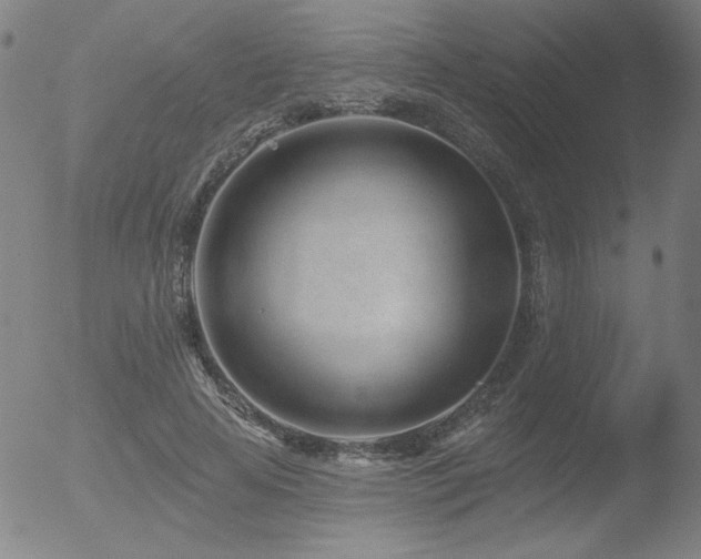 X0000052940641200507081145