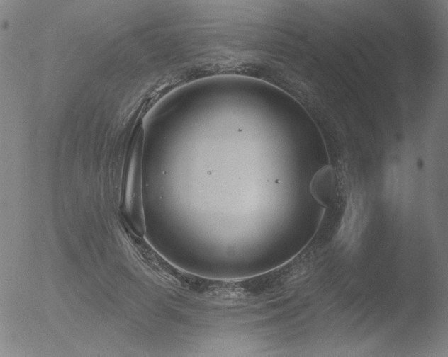 X0000052940642200507081145