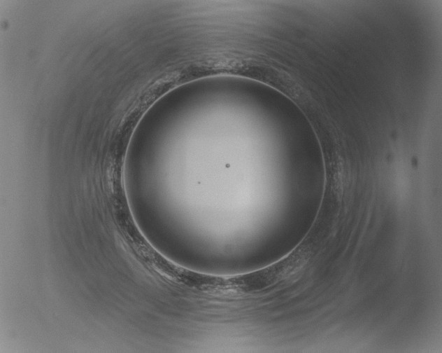 X0000052940643200507081145