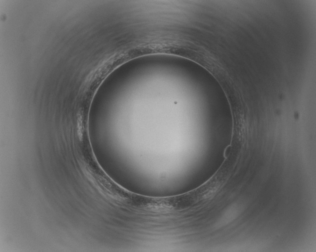 X0000052940644200507081145