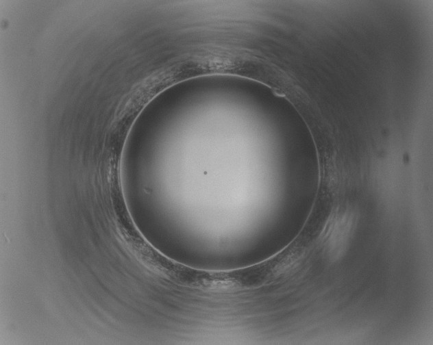 X0000052940645200507081145