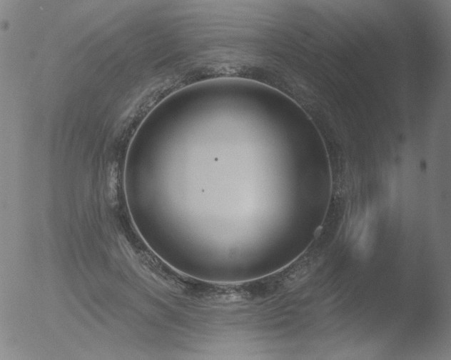 X0000052940646200507081145