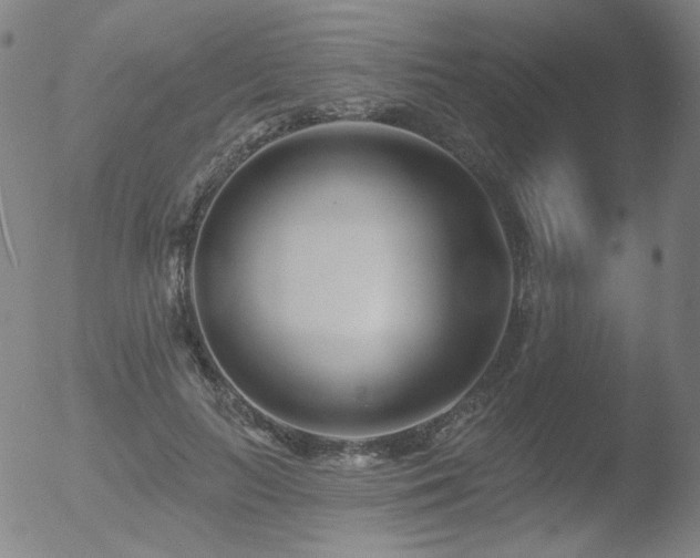 X0000052940647200507081145