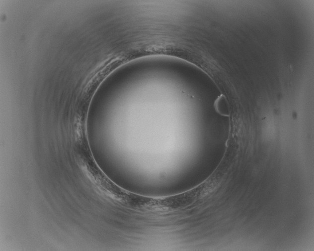 X0000052940648200507081145