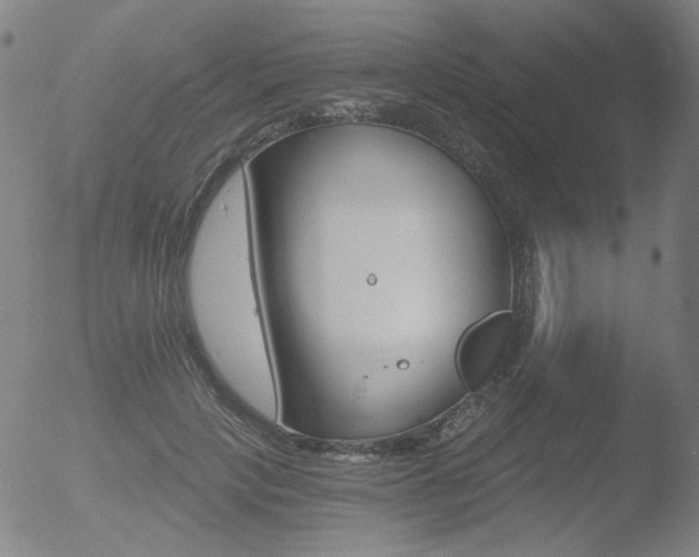 X0000052940649200507081145