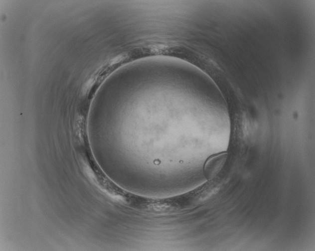 X0000052940650200507081145