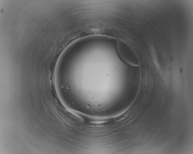 X0000052940651200507081145