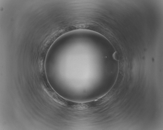 X0000052940652200507081145