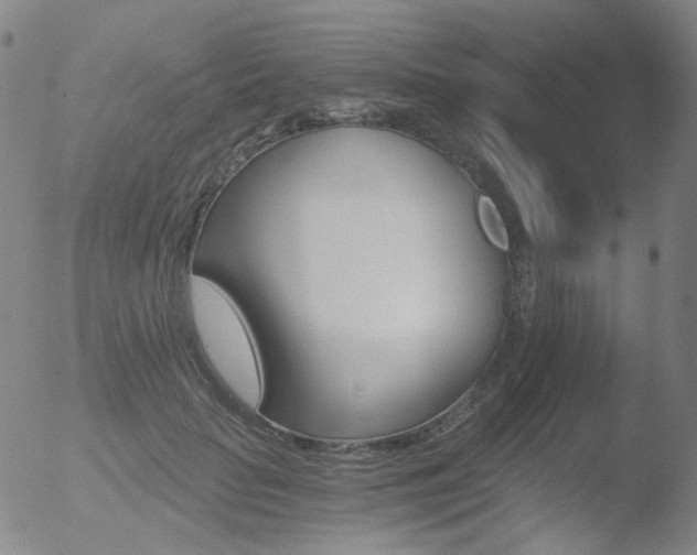 X0000052940653200507081145