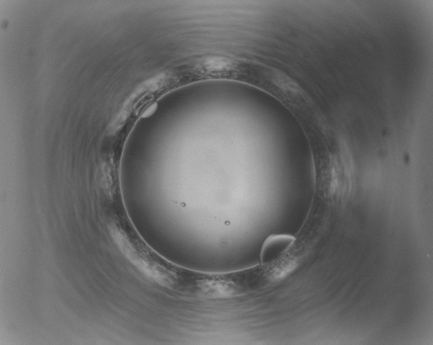 X0000052940654200507081145