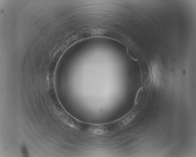 X0000052940655200507081145