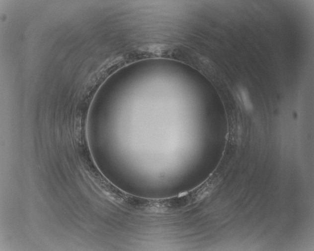 X0000052940656200507081145