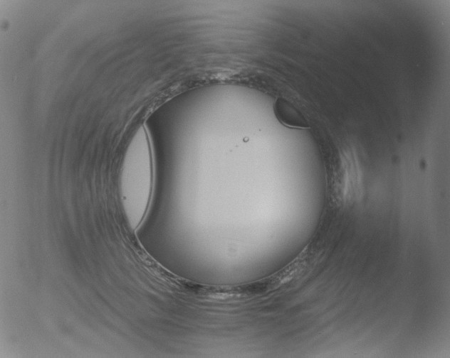 X0000052940657200507081145