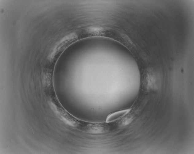 X0000052940658200507081145