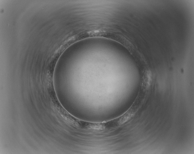 X0000052940659200507081145