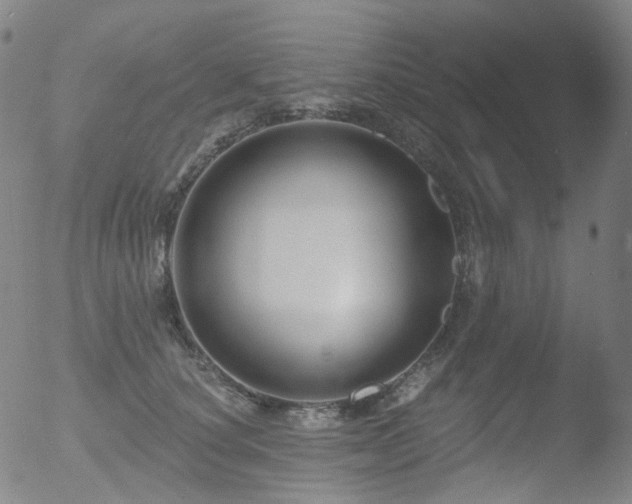 X0000052940660200507081145