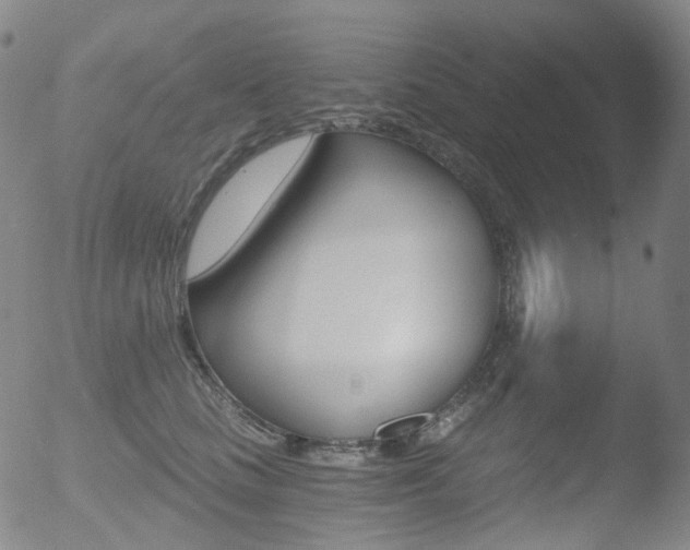 X0000052940661200507081145