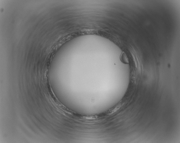 X0000052940662200507081145