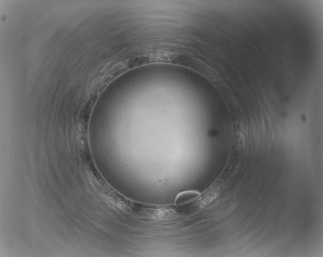 X0000052940663200507081145