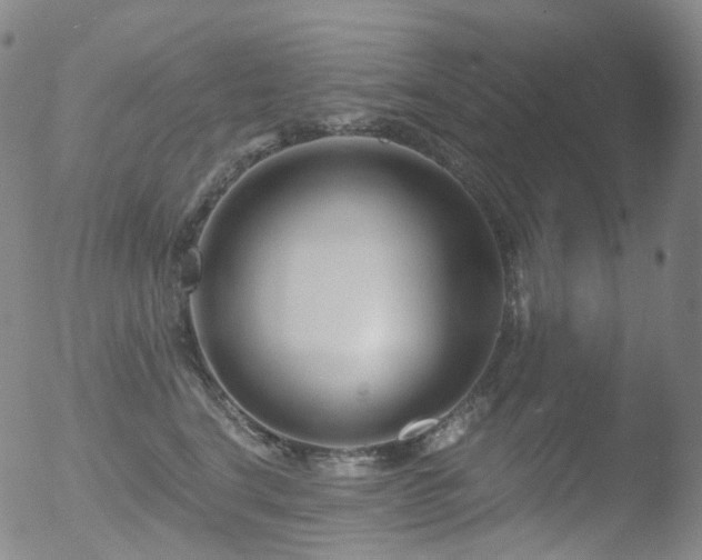 X0000052940664200507081145