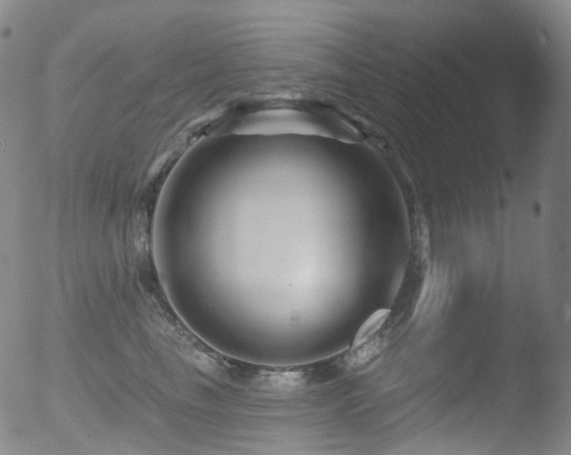 X0000052940665200507081145