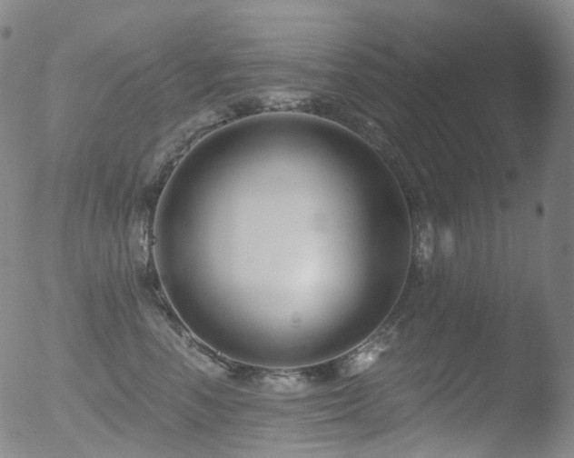 X0000052940666200507081145