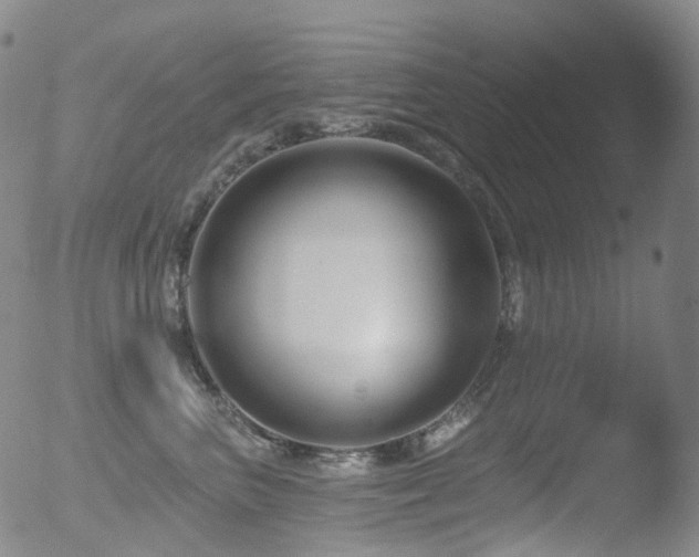 X0000052940667200507081145